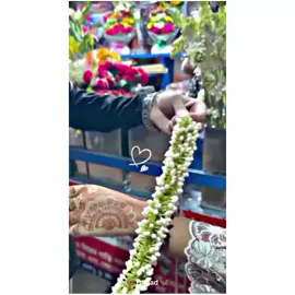 ❣-ফুল পছন্দের মানুষ গুলা ফুলের মতো'ই সুন্দর হয়।💔🥀🌸 #মেনশন_করুন_আপনার_প্রিয়_মানুষকে❣️😊  #foryou #foryoupage #trending #fypシ゚viral #tiktok @For You @TikTok Bangladesh 