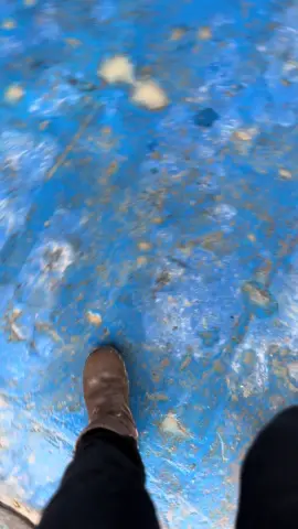 Enak musiknya jang jang#kulitambang #anaktambang #mekaniktambang #pamapersadanusantara #storytambang #tambangbatubarakalimantan 