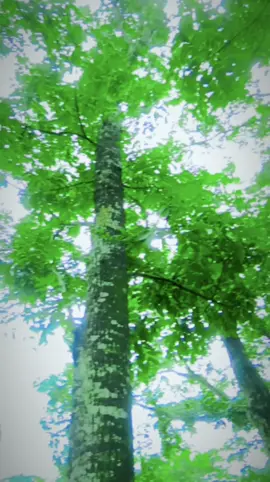 #?🥰🥰🥰🥰🕰😍😍😍😍🨍🥀🥀🕀💝🂝🌹?❤️❤️❤️❤️❣️❣️❣️❣️?🥰🥰?