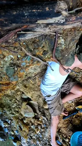 Making a needle hole in the bowels of the earth!!! Search for underground gold lines In a scary river  Gold digging, gold dredging, gold mining, gold prospecting, gold discovery, gold exploration, #goldhunter , #goldhunter , #goldhunters , #goldhuntergame , #goldhunterhelp , #goldhunt , #goldhuntertier1 , #goldhuntersmart , #goldhuntersguide , #golrhunterguides , #goldhunterdevice , #goldhunterstarted , #aussiegoldhunters , #goldhunterthegame , #hunter , #goldhuntertestplay , #goldhuntergameplay ,  #goldhunterconcerns , #testplaygoldhunter , #goldhunterplaytest , #goldhunterfirstlook , #goldhunting , #hunters 