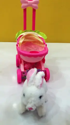 Xe đẩy chăm sóc bé thỏ kute #xh #tho #rabbit #xuhuong #viralvideo #takecare 