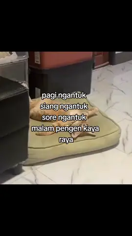 #fyp #meme #quotes 