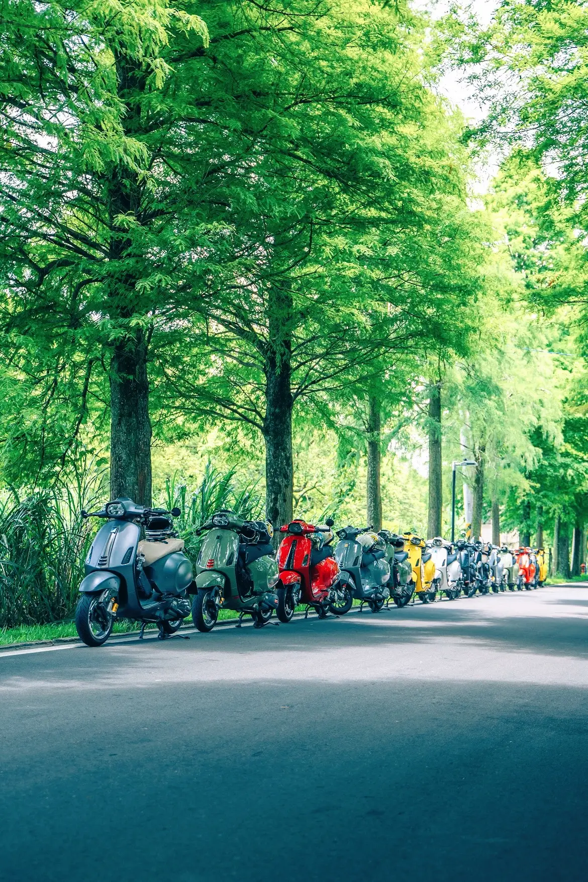 有人說 當真愛出現的時候 整個世界的時間 就會暫停下來？ 嗯 是的 從他出現在我學生時代的那一刻 我的視線就在他身上從未停止過 他就像耀眼的太陽 照亮我的青春時期 也不止我一個人。 #fyppppppppppppppppppppppp #photography #touring #fhotoshoot #fyp #southvietnamscooterteam #fyp #vespa 