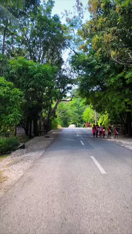 masih tentang Amarasi. Entah sudah ke brapa kali lewat ini jalan. #fyp #fyppppppppppppppppppppppp #nttpride🏝🔥 #nttpride🏝🔥kupangntt💯 #nttpride🏝🔥fypシviral #timor #nttpride🏝🔥fypシ #xuhuong #xyzbca #xuhuongtiktok #amarasi #papuatiktok #ambontiktok #kupangtiktok #kupang #123letsgo 