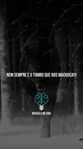 NEM SEMPRE É O TOMBO QUE NOS MACHUCA!!! #reflexão #reflexion #motivação #videosmotivacionais #indiretas #sabedoria #viralvideo #foryou #fyp #tiktokviral