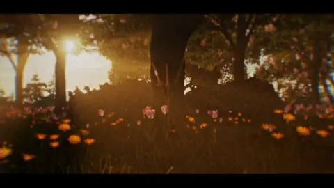 him #onepiece #anime #manga #animeedit #mangaedit  #onepieceedit #onepieceanimeedit #onepiecemangaedit #mangaanimation #zoro #roronoazoro #foryou #fyp #explore #trend #trending #tiktok #onepieceanime #onepiecemanga 