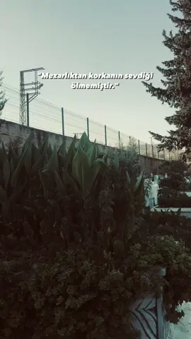19.10.2022 #qkadirdogan #storilikvideolar #storilikvideolar📌 #storilik #keşfet #keşfetteyizzz #keşfetbeniöneçıkar #fypage #fypdong #fyppppppppppppppppppppppp 