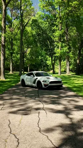 Get ready for Independence Day with this 2021 Ford Mustang GT ROUSH Stage 3 🇺🇸 🦅 Available Now!  