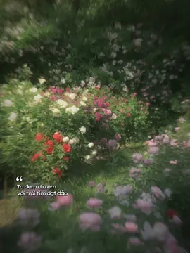 Lời yêu ngây dại 1 ảnh lyrics | nhạc cổ neee 🫢#loiyeungaydai #capcuttemplate #viral #xuhuong #fyp #capcutmaster 