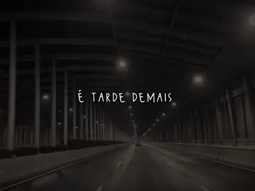 It’s too late… #fypシ #lyrics #traducao #apologize  #onerepublic 