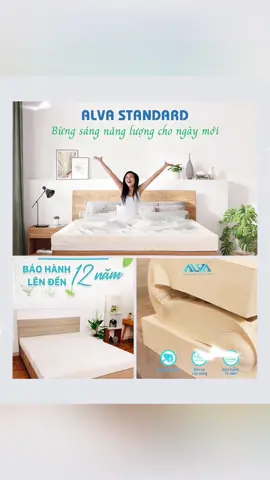 Nệm cao su thiên nhiên Alva Standard - nệm tiêu chuẩn cho mọi gia đình Việt #nệm #nệmcaosuthiênnhiên #nem #nemcaosu #nemcaosuthiennhien #alva #nệmalva #nemalva 