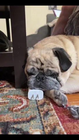 sweet little guy just wants to recharge 😭 alas I am preventing him from doing so (will not let him rest on electronics while plugged in) sue me!!!