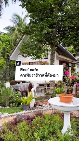 ใดใดคือร้านน่ารักมากกกกก 🏹🌷‧₊˚♡🦋✨🧺🌻  📍  Location : เยื้องโรงเรียนปลักปลา ซอยบาโง ต้นซอยร้านอยู่ทางขวามือ  #คาเฟ่สามจังหวัด #คาเฟ่ #รีวิว #บอกต่อ #คาเฟ่นราธิวาส #reecafe #cafe #อาหารอร่อย #ร้านสวย 