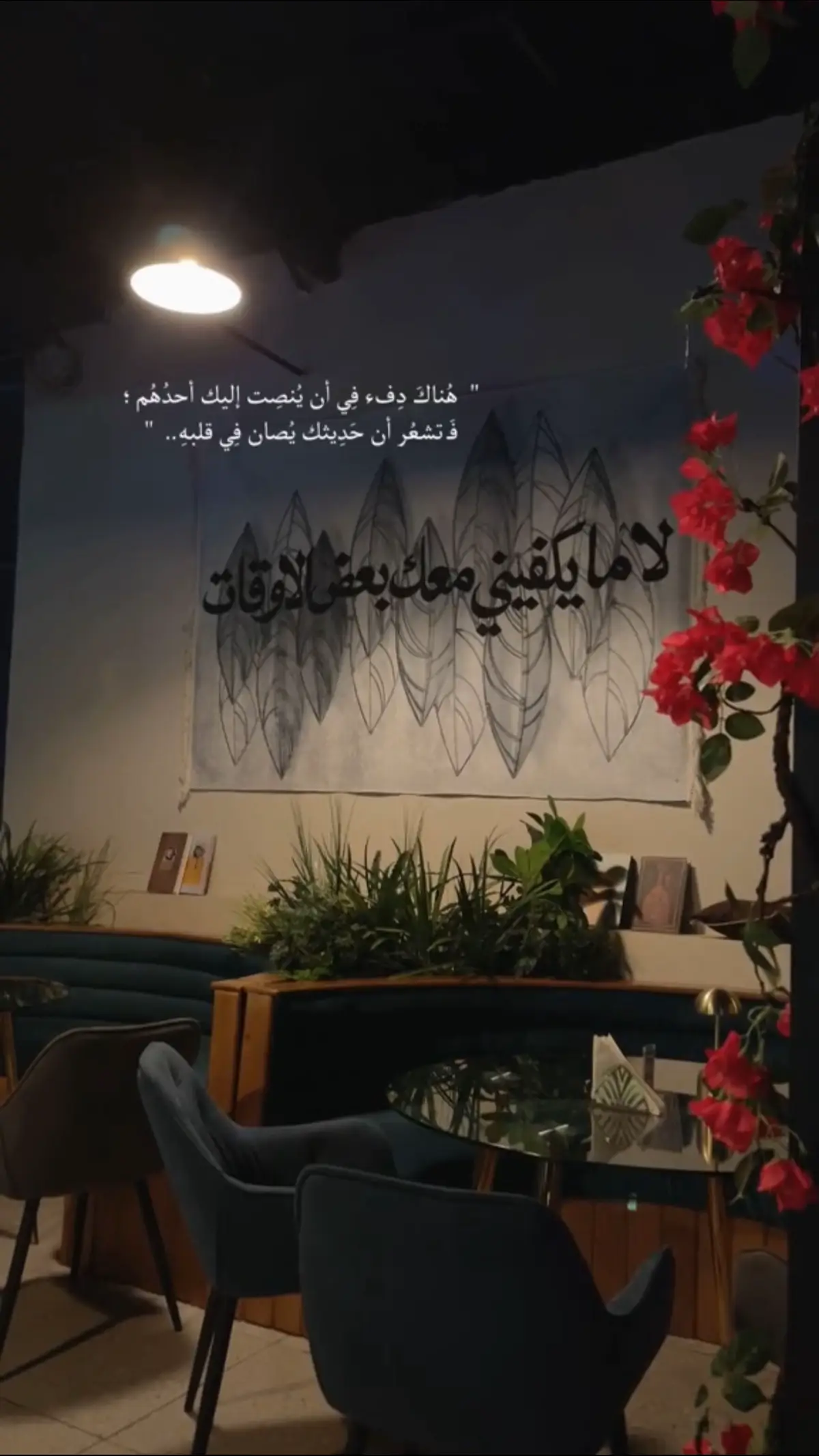 🦌🦌✨✨🤎🤎🤍🤍🫰🏻🫰🏻🫰🏻🫰🏻🎼🎼🌷🌷🌷 ‏‏﮼الررررريم