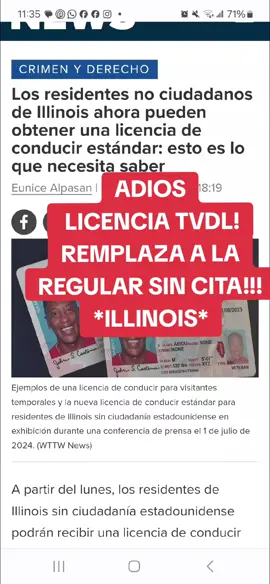 nueva licencia para indocumentados en Illinois  #tvdl #licencia #licenciaillinois #indocumentados #inmigrantes #illinois #licenciadeconducir 