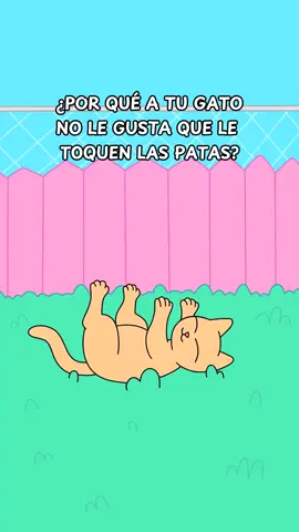 ¿A tu michi le gusta que le toquen los pies? 🦶🏻🐾 . #catlover #gatosentiktok #catlovers #gatodeldia #vidadegato #amolosgatos #amomisgatos #amorgatuno #gatosnegros #gatospersas #memesdegatos #gatosmedellin #gatostiernos #gatosbebes #gatostiktok #amordegatos #lalocadelosgatos #gatosdebuenosaires #amantesdegatos #gatosdetiktok #gatosdelmundo #gatoslindos #gatosfelices #gatosfofos #tiktokgatos #gatosgraciosos #gatoschilenos #gatoscolombia #gatosdivertidos #cosadegatos 