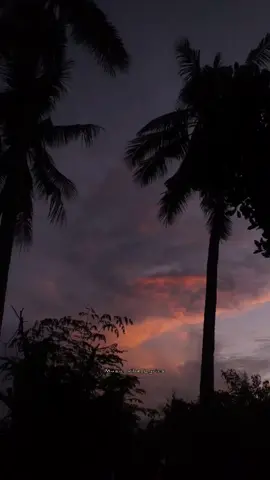 Yaayum 🤍🥰🤩✨🎵 #sagaa #yaayum #nareshiyer #Rita #shabirsulthan #musicvibeslyrics #tamilmuser #218k #fypシ #songlyrics #tamilsong #tiktok #tamilstatus #whatsappstatus #vibe #8m #editor #tamilcinema #capcut 