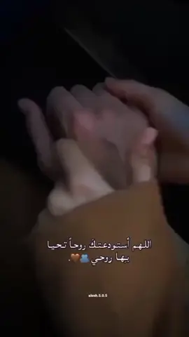 #حصنتك_بقلبي #يحميلي_ياك #عمري♥️🔐 #عوض_ربي #🥺❤️ #soseta_mohamad20 #fypシ゚viral 