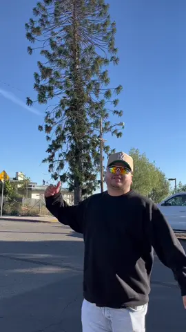 Este pino representa el este de los angeles 🫡🇺🇸 #elpino #sangreporsangre #sangrexsangre #vatoslocos #vatos #losangeles #nadamevacambiar 