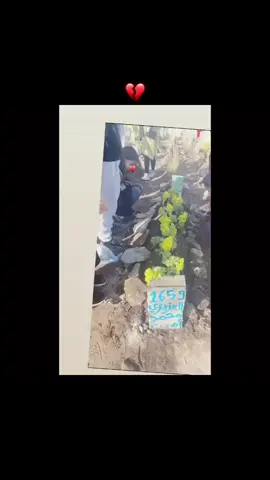 و قبورا ضمت في جوفها من نحب😔😔