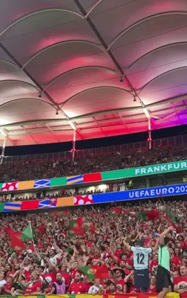 Fans of Portugal 🇵🇹 #fy #EURO2024 #portugal #portugalfans 