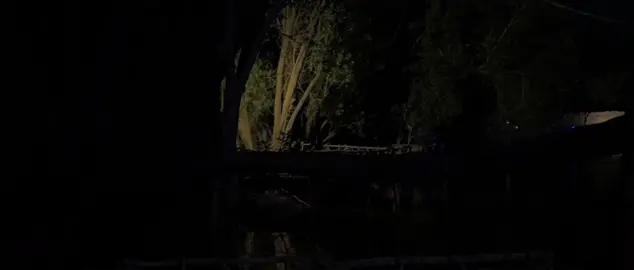 ﴿وَهُوَ ٱلْقَاهِرُ فَوْقَ عِبَادِهِ وَيُرْسِلُ عَلَيْكُم حَفَظَةً﴾             ‌                                                                                         
‌                                                                                          ----   #قرآن #quran   أسم القارئ :#بندر_بليلة 