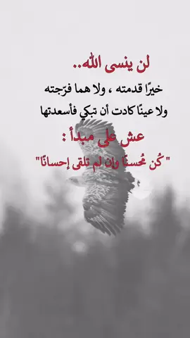 لن ينسى الله خيرا قدمته #عبارة #جميلة #يارب #جبر_الخواطر #الانسانية_هي_كل_شيئ 