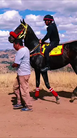 Carrera de caballos Huando 2024 #carreradecaballos #huando #huancavelica_perú🇵🇪♥️  #2024 #parati 
