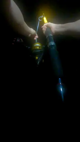 Setting The Hook Into MONSTER SHARK?!? @Beyond Braid  #thefishermeng #fishing #southshore #bunker #shark #sharkfishing #beachlife #sunrise #nyfishing #nyfishingcharters #lbsf #landbasedsharkfishing #blacktip #blacktipshark #hammerhead #floridafishing #bigshark #sharkattack #beachsharkfishing #floridasharkfishing #floridasharks #bullshark #hammerheadshark #newjerseysharkfishing #bigsharks #viral #crazy #sharkattack #sandtiger #sharkfishing #crazyfishing #bestfisherman