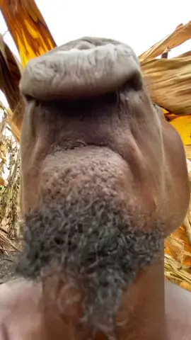i think he has beautiful lips 🤣 #biglips #africa #africanpeople #meme #memestiktok #funny #shorts #laughing #hahaha #goviral #black #funny #guy 