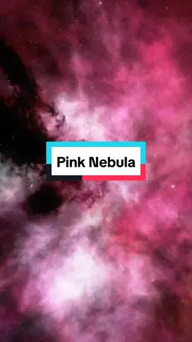 Pink Nebula #nebula #universe #galaxy #space #astronomy 