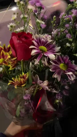 #fypシ #tulus bunga akan selalu megar jika yg merawatnya orang yang tepat 🤍😍