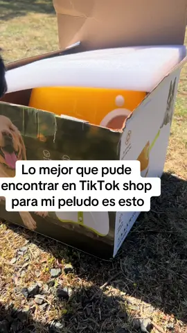 #dogsoftiktok #dog #pets 