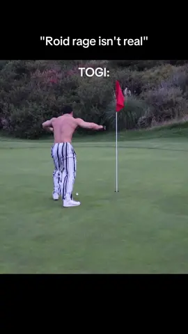 Togi is too funny😭 #togi #shanestoffer #togiclips #clips #gym #GymTok #gymrat #funny #tren #trend #samsulek #trentwins #shizzy #bodybuilding #gear #muscle #strength #youtube #viral #edit #togiclips7 #hardedit #gymedit 