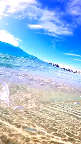 Sorry Mi Amore #ibraray  #sorry  #miamore  #calm  #nature  #Relax  #4K  #aestetic  #mountain  #mountainview  #travel  #beachvibes  #sunset  #sea  #river  #تصميمي  #فيديو_للتصميم  #فيديو_هادئ_للطبيعة  #تصميم_فيديوهات  #اجمل_المناظر_الطبيعية_في_الجزائر  #اجمل_شلالات_في_العالم  #فيديوهات_عن_جمال_الجزائر  #جمال_طبيعة_الجزائر  #اجمل_مناطق_سياحية_في_الجزائر  #فيديوهات_عن_الطبيعة_بجودة_عالية  #أنا_نجحت_يابلد  #ترند_أنا_نجحت  #طريق_النجاح  #الجزائر_الخضراء  #جبال_الحزائر  #أحسن_محتوى_في_الجزائر  #مليون_مشاهدة  #ترند  #رحلات  #السفر  #algerienne🇩🇿❤️___france  #kabyle_dz🔥🔥🔥🇩🇿🇩🇿🇩🇿🇩🇿🇩🇿  #explore_the_sea  #sea_music  #deep_ocean  #view_of_the_sea  #sea_travel  #sea_vibes 