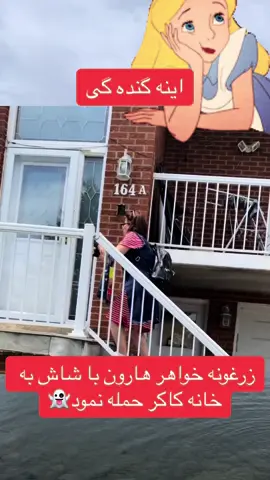 ##تاجیک_هزاره_ازبک_پشتون_ترکمن🇦🇫 #افغان_تاجیک_اوزبیک_هزاره_پشتون🇦🇫❤ #افغان #ایران #fypシ゚viral 