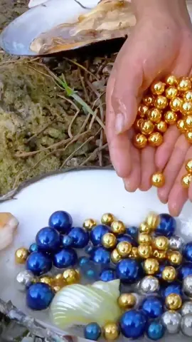 Pearls in clams #pearl #seafood #jewelry #pickingpearls #huntingpearls 