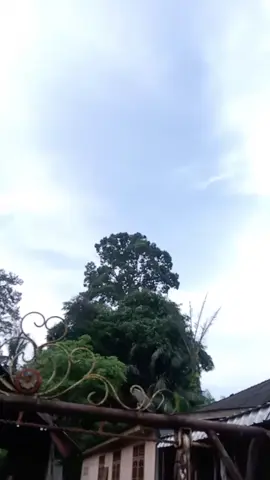 kasot begos