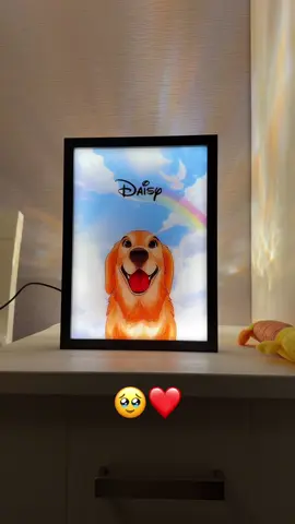 When it all lit up i cried🥲❤️ #rainbowbridge #dogloss #doggrief #dogsoftiktok 
