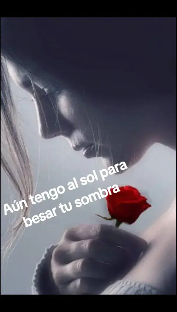 #viral #parati #cerati 