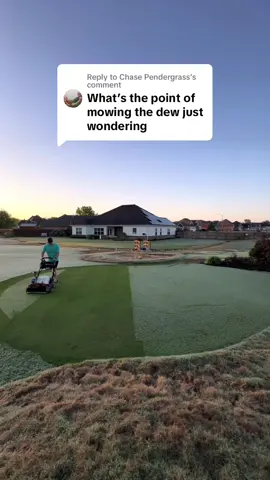 Replying to @Chase Pendergrass and it makes it easier to see where you have already mowed.   #lawncare #backyardgolfcourse