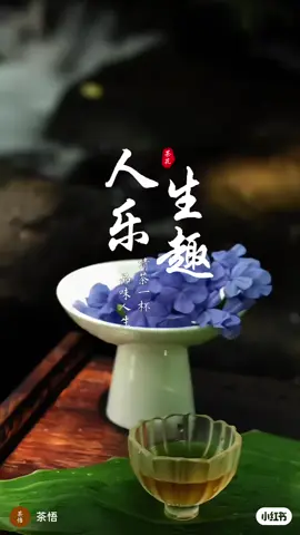 #人生樂趣 #人生 #人生感悟 #治愈系列 #情感共鸣 #情感语录 #活在當下 #接纳自己 