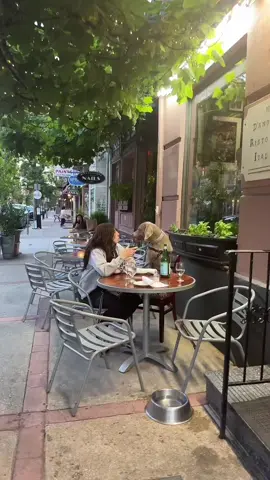 Gray goes out to dinner #dog #dogsoftiktok #dogs #cutedogsonly #cutedog #cutedogsoftiktok #fyp 