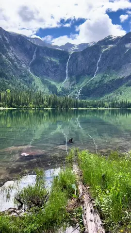 #glaciernationalpark #glacier 