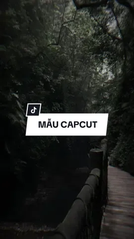 Anh mệt không khi cứ phải giả vờ | Đừng Cố Yêu Remix #CapCut #edit #mẫucapcut #xh #nhachaymoingay #lyrics #capcutmaster 