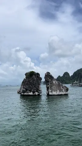 Hòn Gà Trọi Vịnh Hạ Long 🐉🐉#halongbay #master2024bytiktok 
