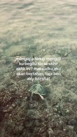 ketua mau tdr dulu untuk istirahat dari semua masalah