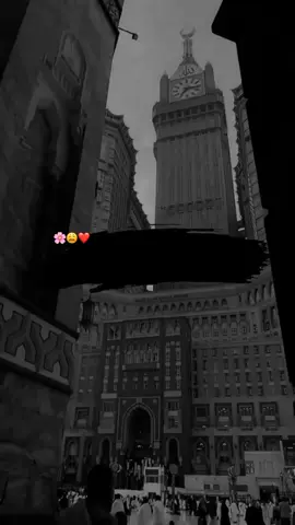 ایک سمت علی اک سمت عمل صدیق ادھر عثمان ادھر جگ مگ جگ مگ 🫀🔥🥰#foryoupage #istgram #islmaic_videos #whatssppstatus #1millionaudition #blacksacreenstuts #Muhaammadirsyadnovandi #Muhaammadirsyadnovandi #pyaaaaaaaaaaaaaaaaaaaaa #peerajmalrazaqadri #peerajmalrazaqadristatus #trending 