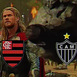 #brasileirão #flamengo #segue #lider #clubederegatasdoflamengo 