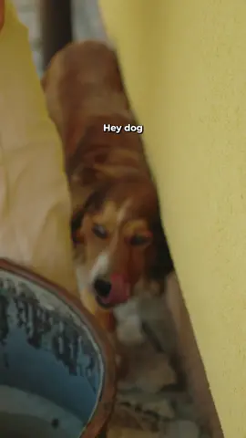 What should I do to this little thief??!